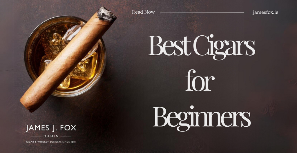 Best cigars for beginners - A complete Guide to Your First Smoke (James J. Fox)