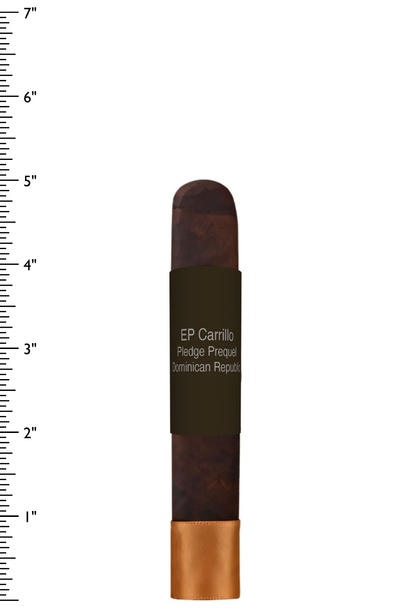 EP Carrillo Pledge Prequel - James J. Fox, Dublin