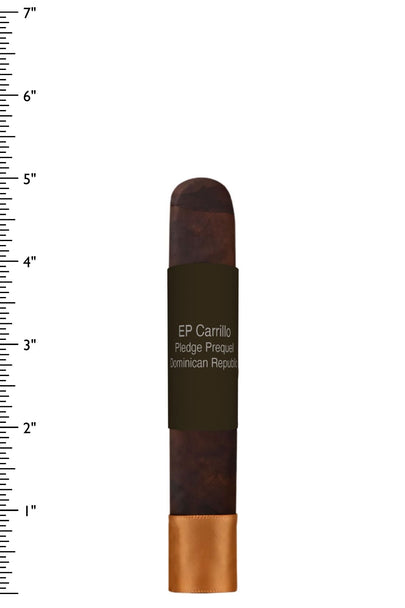 EP Carrillo Pledge Prequel - James J. Fox, Dublin