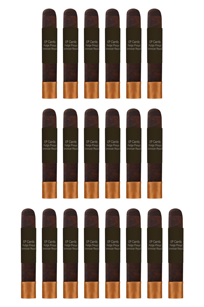 EP Carrillo Pledge Prequel - James J. Fox, Dublin