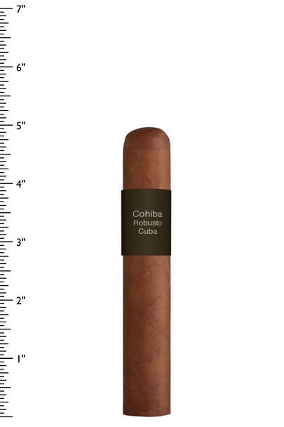 Cohiba Robusto
